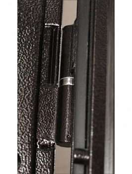 Дверь эконом: порошок цвет Медный антик + МДФ-панель толщиной 8 мм с декоративными вырезами, цвет Золотистый дуб ЭК-2041